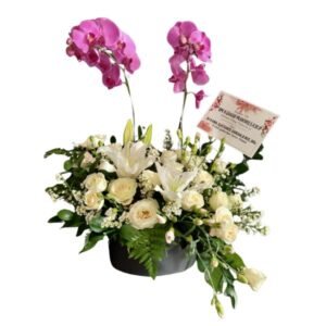 Anggrek Bulan FF ANG 01