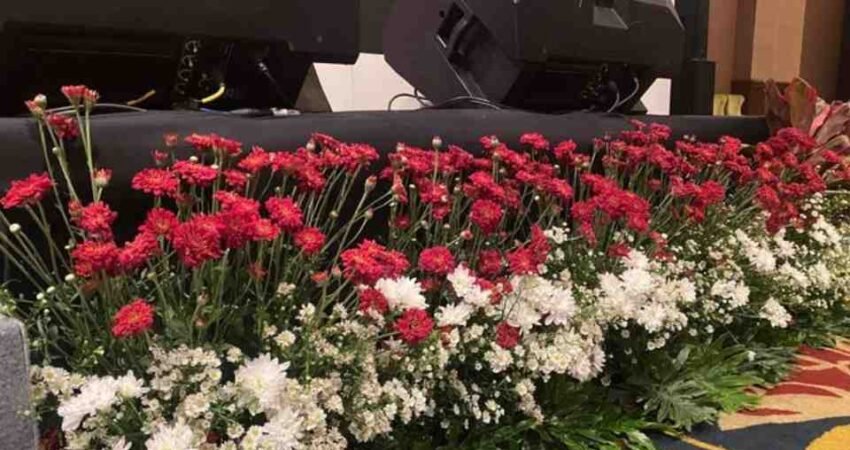 Cara Merangkai Bunga Hidup di Pelaminan agar Terlihat Elegan dan Mewah